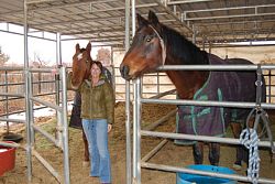 Horse inspires a spirit of giving