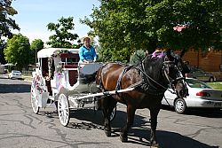 Catholic carriage driver enjoys participating in ecumenical holidays as part of her job