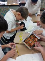 Saint Joseph Catholic Elementary School Encompasses STEM 