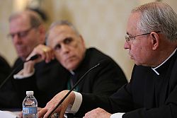 Bishops OK plan to implement 'motu proprio' on addressing abuse
