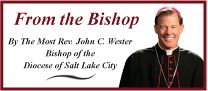 Pope's message encouraging, Bishop Wester says