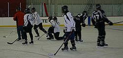 Catholic schools merge hockey into independent team
