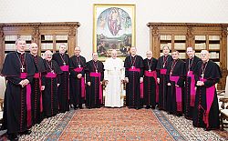 U.S. bishops discuss range of issues with Pope Francis