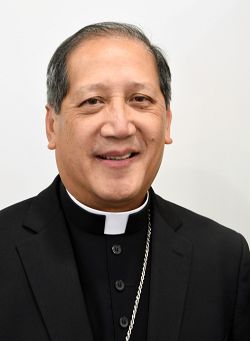 Diocesan Pastoral Congress: Bishop's Message