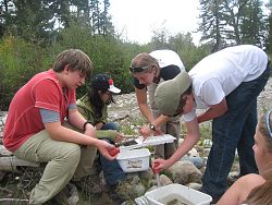 Wilderness Science