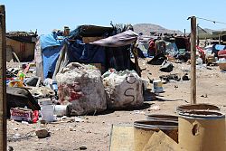 If you had to live in the city dump, wouldn't you try to flee, too?