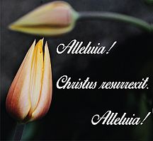 Alleluia! Christ is Risen. Alleluia!