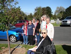 Honoring the Sisters of  St. Benedictine