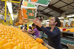 USCCB's Labor Day statement focuses on unemployment among young people