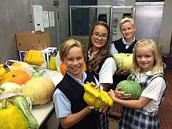 Harvesting from the Heart at St. Vincent