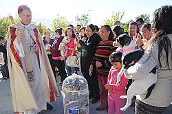St. Francis of Assisi Parish celebrates its patron saint