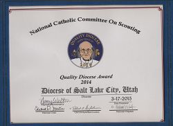 Diocesan scouting earns national quality award