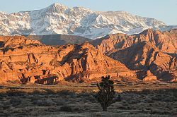 October is Intermountain Catholic Month