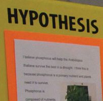 Catholic schools' student winners at Salt Lake Valley Science & Engineering Fair