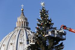 At Christmas, recognize your sin and let God caress you, Pope Francis says