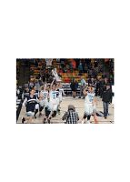 Soaring Eagle girls claim state 3A basketball title