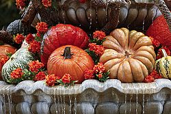 Share Your Thanksgiving Blessings with Others