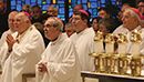 U.S. bishops approve directives, abuse charter revisions at spring meeting