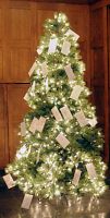 Charities seeking donations for holiday giving