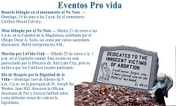 El Obispo Solis llama a seis semanas de oración por la vida