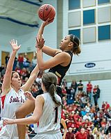 Bitter loss at state finals for Bulldogs girls basketball