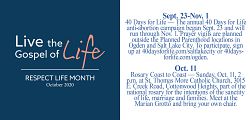 Bishop Solis: Let us 'Live the Gospel of Life'