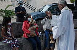Blessing of the Animals