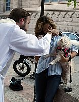 Blessing of the Animals