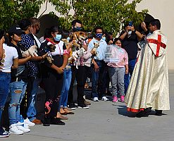 Blessing of the Animals
