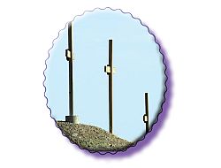 Stations of the Cross Around the Diocese
