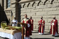 Domingo de Ramos