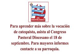 Catequistas  y Discípulos Misioneros de Cristo