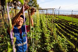 A Story of Hope from Indonesia