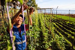 Kisah harapan dari Indonesia