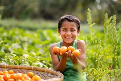 CRS Rice Bowl: A Story of Hope From Bangladesh