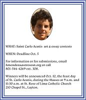 Art and essay contest for youth
