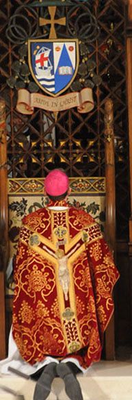 Daily reflections for Fortnight for Freedom