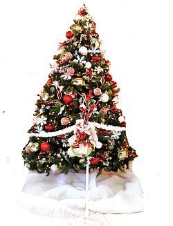 Diocesan Christmas Masses