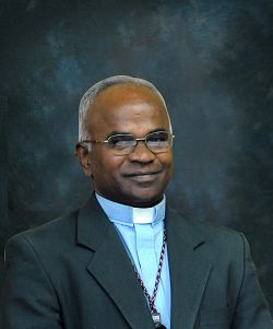 Fr. Lourduraj Gally Gregory on his way to Magna parish
