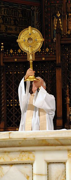 Cathedral to have Exposition of the Blessed Sacrament