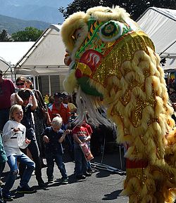  Fun at the Carmelite Fair