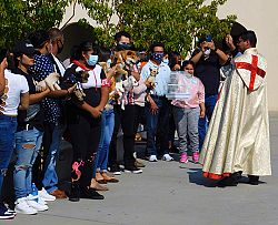 Bendición de los Animales 