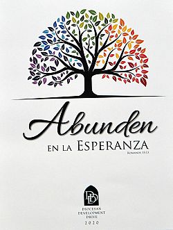 Solicitud del Obispo Solis para apoyar a la Campaa de Desarrollo Diocesano 2020