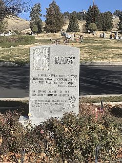 El mes de enero, un tiempo para recordar la santidad de la vida