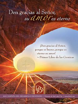 La Campaa del Desarrollo Diocesano anima el Espíritu de la gratitud
