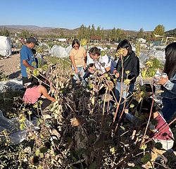 Los ministerios de la Santa Cruz buscan voluntarios para su programa de verano
